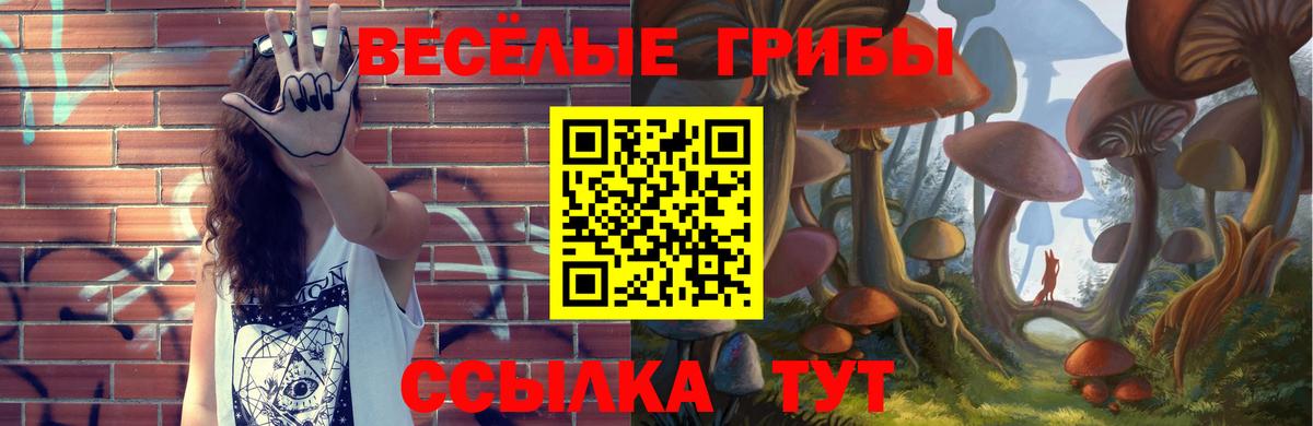 Феодосия  Галлюциногенные грибы Psilocybe  Вход с VPN 